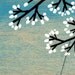 Solitude - Signed Art Print