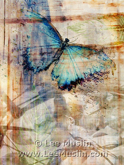 Echoes of Nature 1 - small digital art photo collage