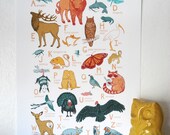 ABC Animal Print - Oklahoma Animals - 10 x 13