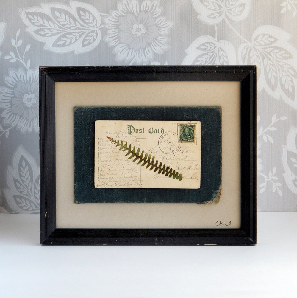 framed vintage fern postcard assemblage