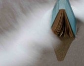 Book in the surf