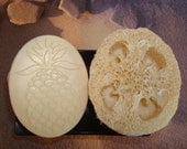 Loofah Foot Bar