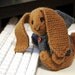 Well-dressed Bunny - PDF file