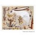 On SALE Southwest Jackrabbit Art Print on Paper, Desert Ramble