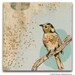 Small Bird Art Print on Wood, DG MINI April Evening II