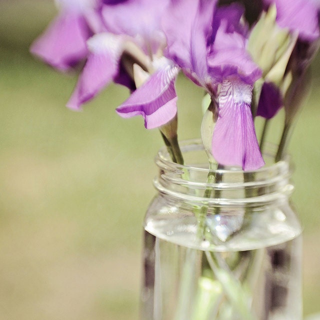 Fine Art Photography 8x8 Mason Jar Purple Iris Modern Wall Decor
