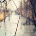 Home Decor Photo Sticks & Stream 8x10  Handmade Certified