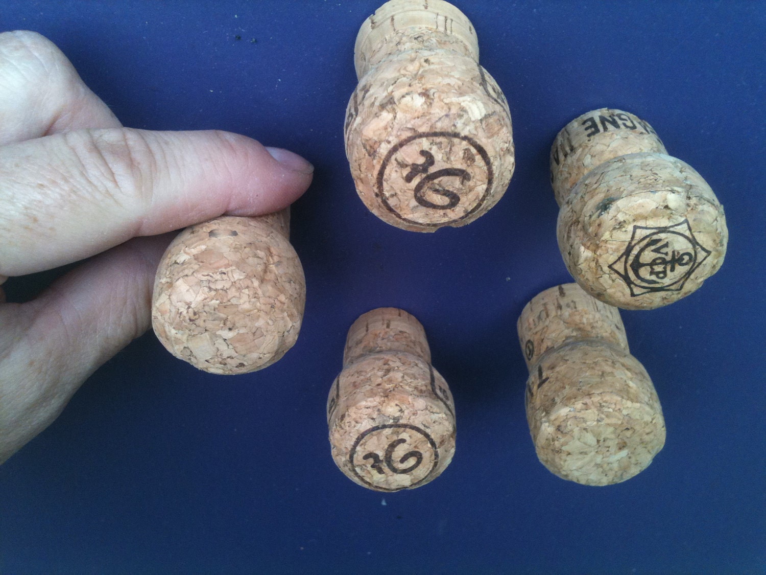 SALE Champagne Corks Magnets set of 3