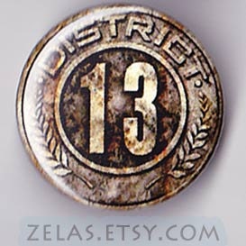 Hunger Games Button- District 13