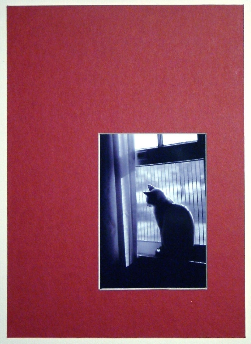 Snowflake 5 Matted Photograph ACEO