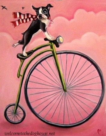 Boston Terrier Riding Bike