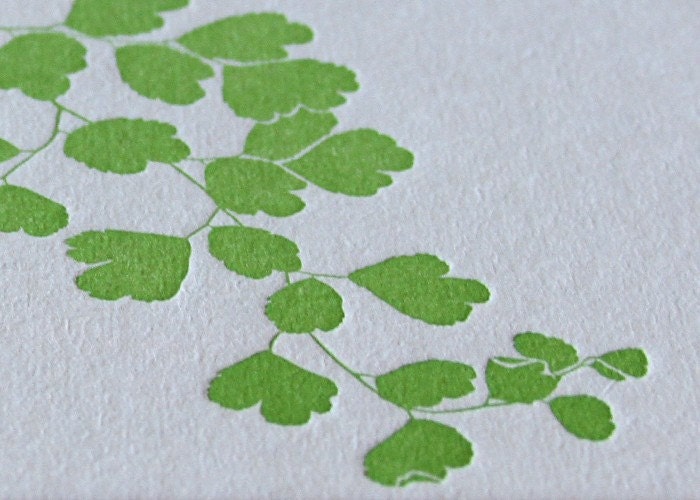 Maidenhair Fern: letterpress coasters (4ct)
