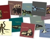 If you were... set of 10 different animal cards