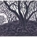 ENTWINED TREES linocut