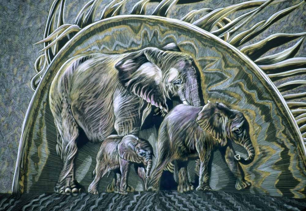 Elephant Family