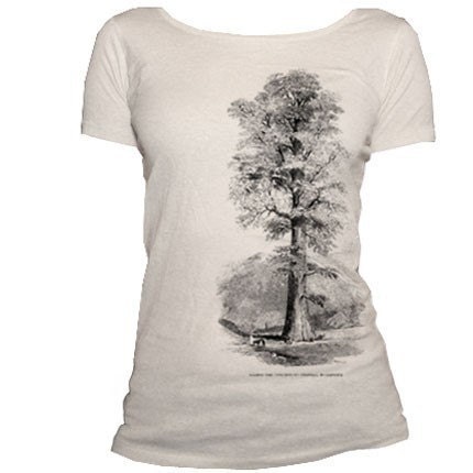 REDWOOD TREE - Organic Cotton Scoop Neck Tshirt