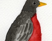 Buy 2 Get 1 FREE -- Watercolor Painting: Watercolor Illustration Bird -- Art Print --  Robin Red Breast -- 4x6