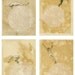 mini print set - ghost divers