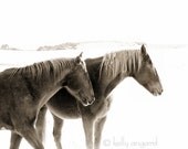 Horse Photograph - black and white horse photography - 8x10 two winter horses, snow landscape - love, couple together