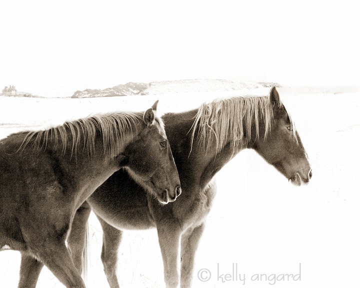Horse Photograph - black and white horse photography - 8x10 two winter horses, snow landscape - love, couple together
