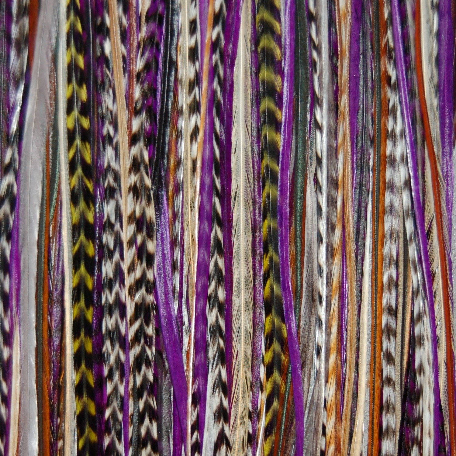 BEST LONG Purple 6 Feather Hair Extension - Salon Grade Whiting Feathers : Free micro link clamp