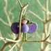 Purple Grapes On The Vine Juicy Bug