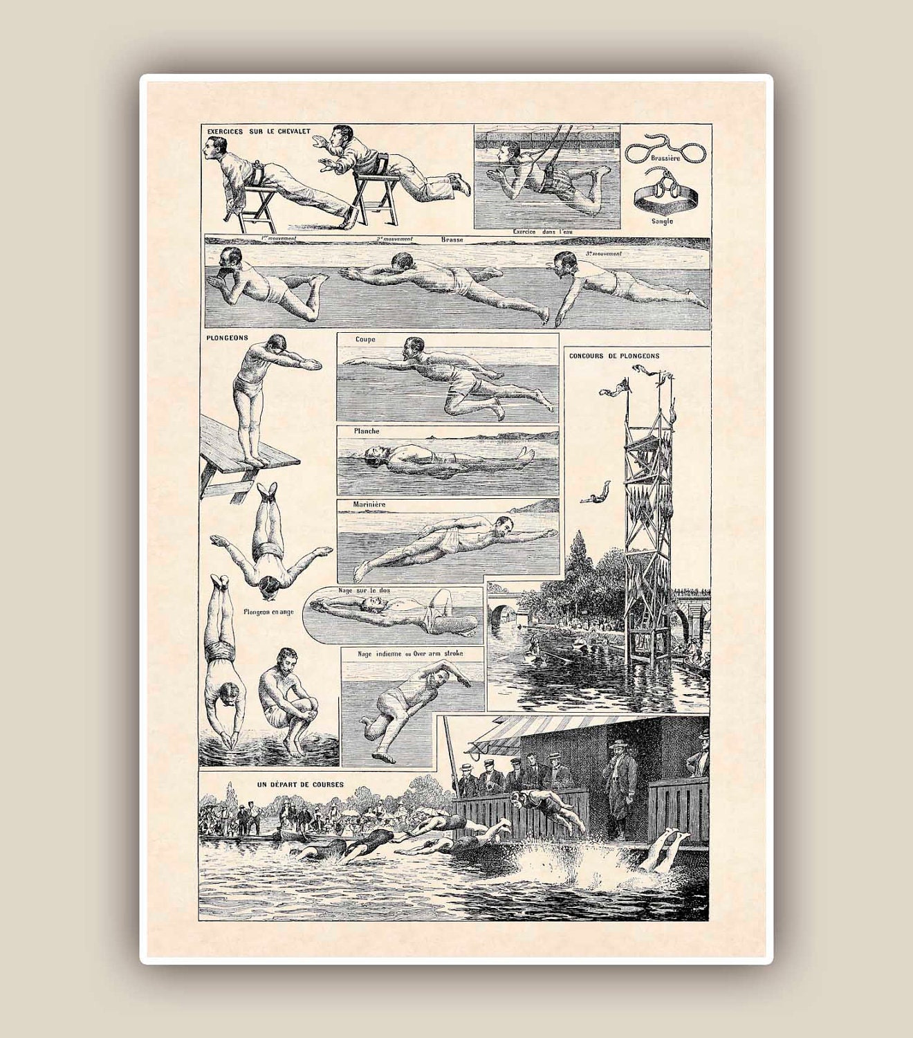 Retro swimming Print, Vintage 'Natation' image, Seaside Prints, Marine Wall Decor,  Nautical art, Large size 11x14