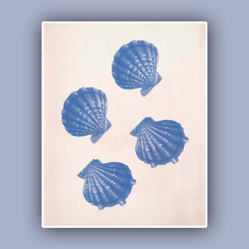 Seashell  Print,  Vintage Scallops sea shell print,  Marine Wall Decor, Nautical art,  Ocean living