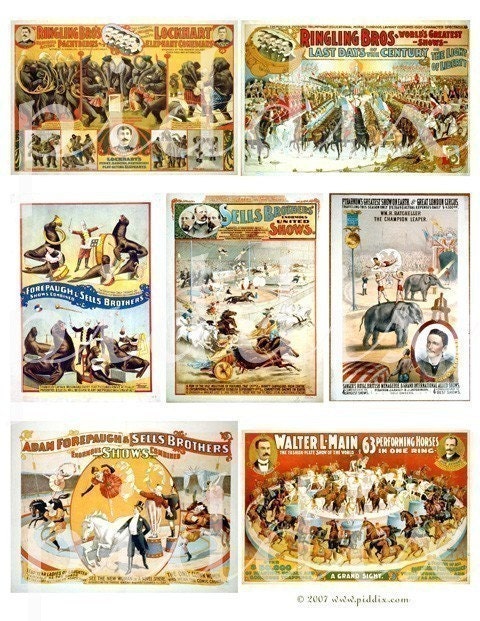 Elephants, Seals, Horses and other circus animals -- piddix digital collage sheet no. 28