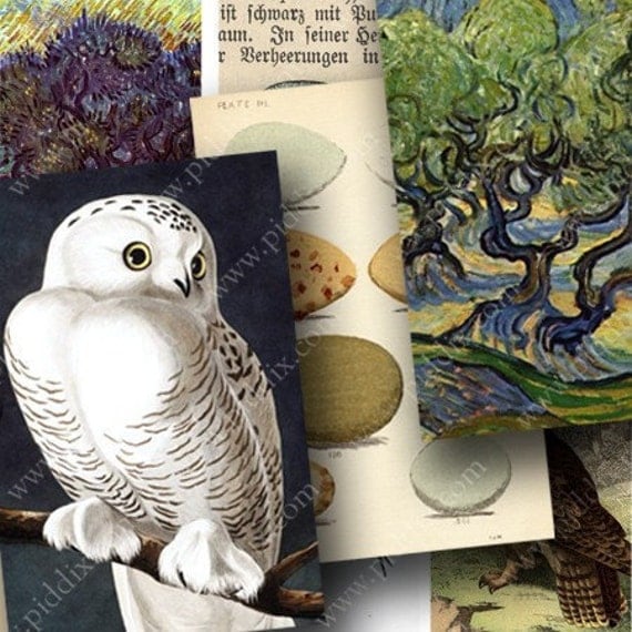 Birds, Eggs, Trees and other nature images in 1.25 x 1.875 inches for large bamboo tiles and more -- piddix digital collage sheet no. 427