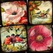 Flora and Fauna vintage bird and flower digital collage sheet in 1 inch squares -- piddix no. 724