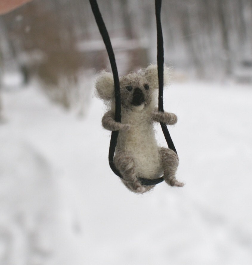 Tiny Koala