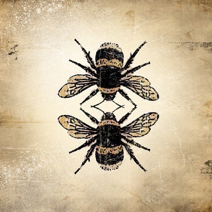 6x6 Insect Print - Bumble Bee