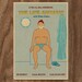THE LIFE AQUATIC with Steve Zissou 16x12 Movie Poster Print - Version 2