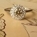White Gold Bezel Set Diamond Halo Ring