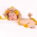 newborn photography prop lion hat and tail set