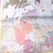 four Peter Cotton Tail Rabbit garden Fabric Panels