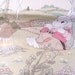 four Peter Cotton Tail Rabbit garden Fabric Panels