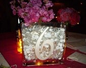 6 inch TABLE NUMBER Truly Lettering Style