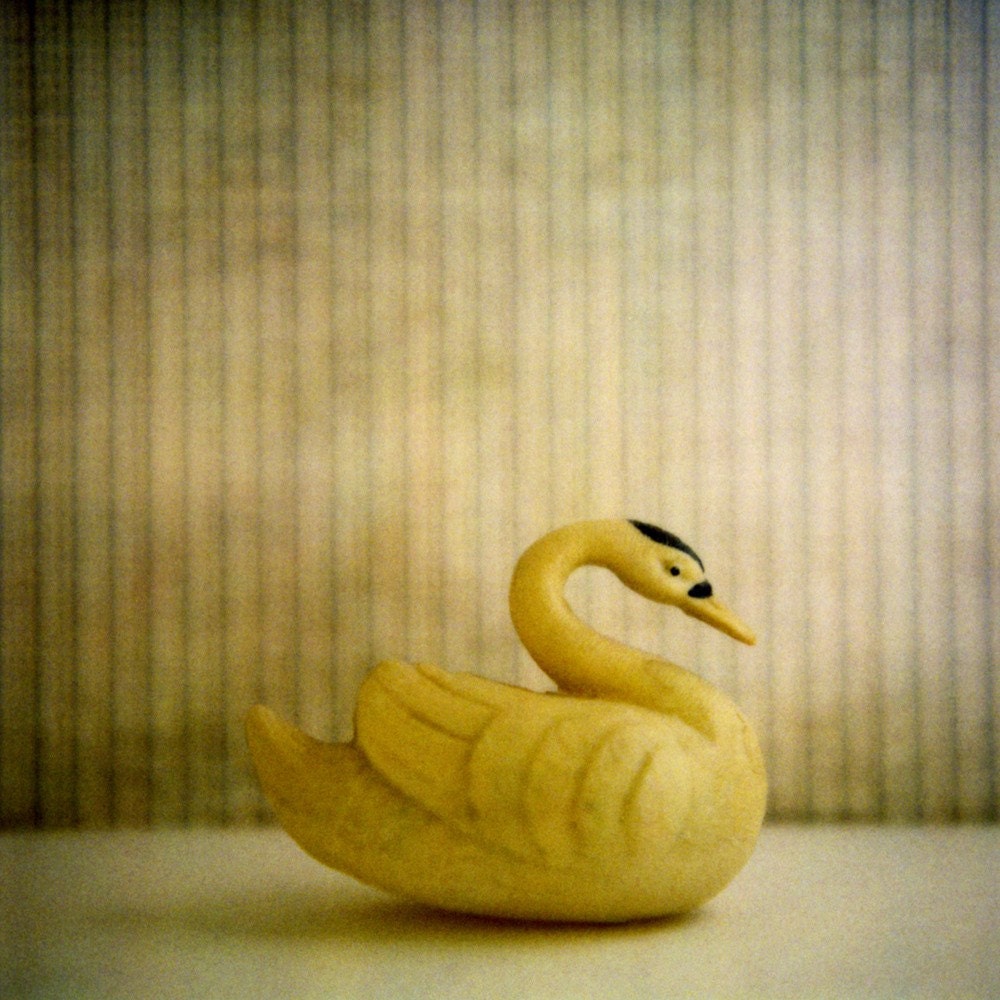 Swan on Stripes 6x6 print