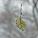 Recycled Glass Birch Leaf