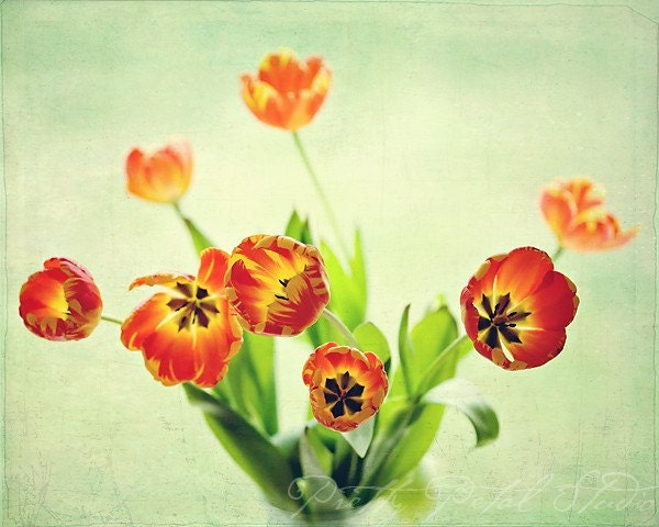 Floral Fine Art Photograph, Orange Tulips, Bouquet, Spring Flowers, Mint, Pretty, Home Decor, Gardener, Botanical, 8x10 Print