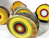 Add Fresh Vibrant Colors to Your Space Rustic Modern Tree Rings Unique Gifts