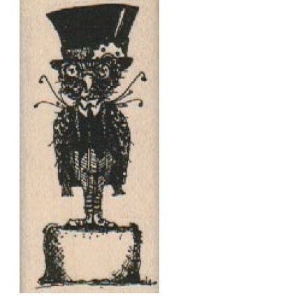 Unmounted stamp Steampunk Owl Stamp whimsical  Rubber Stamp by Mary Vogel Lozinak  owl on a box no18310