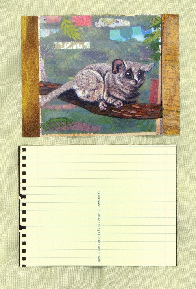 Bushbaby postcard