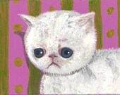 depressed cat postcard allergies itchy white kitty ennui