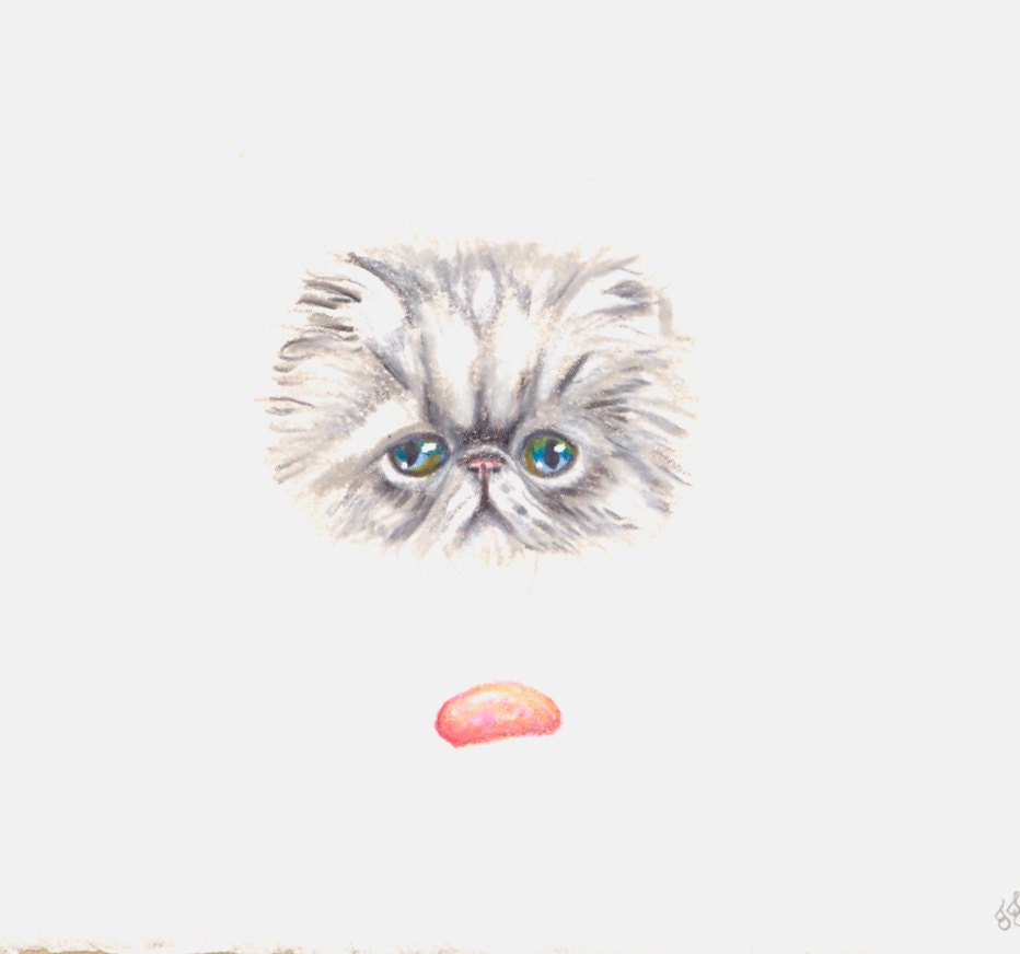 Jellybean cat grey domestic long hair persian gray portrait colored pencil