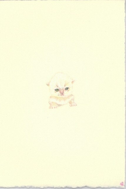 Tiny kitten colored pencil Original drawing