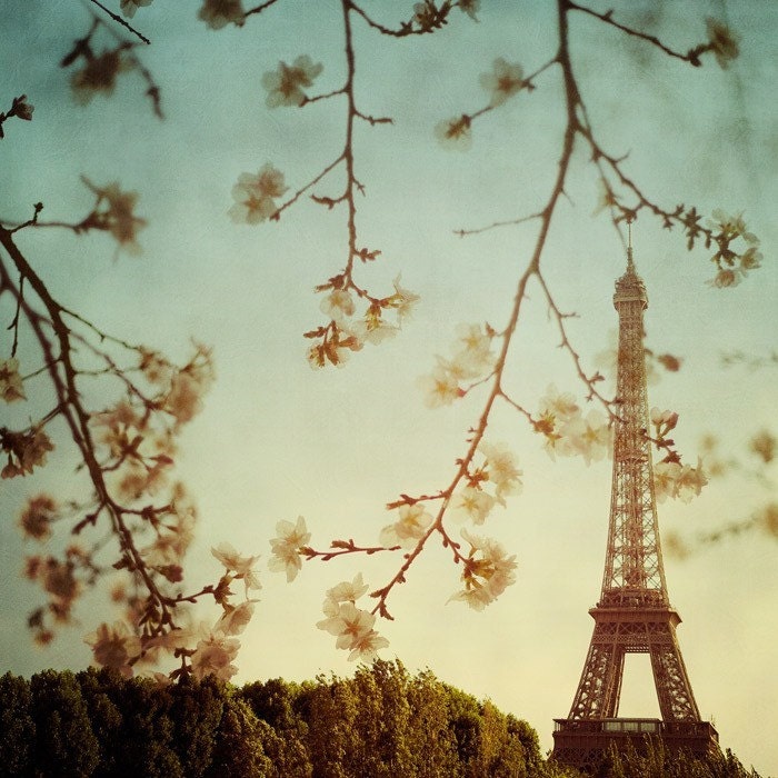 Paris in spring photo - Le printemps - Eiffel tower and spring blossoms, Mother's Day
