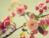 Spring Flower Photography - Romantic, Shabby Chic, Blossoms, Blooms, Pastel, Mother's Day, Easter - A Spring Gathering